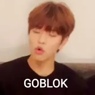 💰 GOBLOK Meme, Ausdruck, Beleidigung whatsapp sticker
