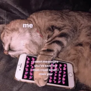 🍡 me
sweet messages you've sent me that I read when I miss you chat, sommeil, téléphone, message, amour, mignon, mème whatsapp sticker