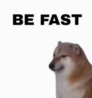 🚀 BE FAST 도지, 밈, 빠른, 개, 인터넷 밈, 시바견 telegram sticker