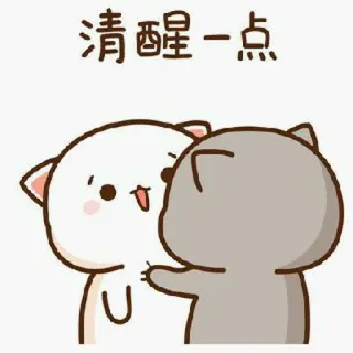 🍓 清醒一点 kucing, hewan, stiker, kartun, imut, Bangun whatsapp sticker