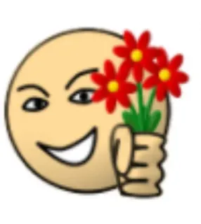🌟 表情符号, 花, 笑脸 telegram sticker