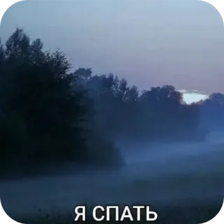 Больше стиков тут: @stikery4 telegram stickers