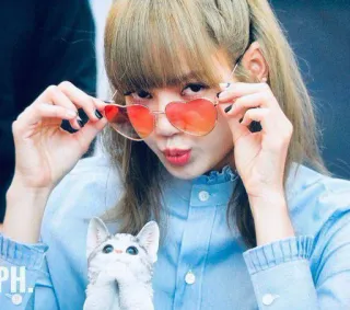 💰 Lisa mulher, pessoa, celebridade, óculos de sol coração, kpop, idol, cantor, gato telegram sticker