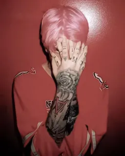 🥸 Lil Peep lil peep, raper, muzyk, tatuaż, różowe włosy telegram sticker