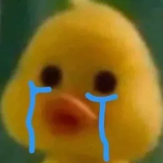 🦆 pato, chorando, triste, lágrimas, emoji whatsapp sticker