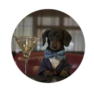 🧐 dog, martini, suit, bowtie, pet whatsapp sticker
