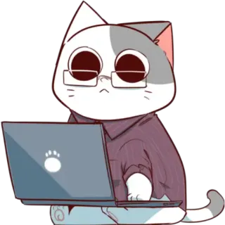🤓 mèo, máy tính xách tay, kính, máy tính, động vật, hoạt hình, nhãn dán telegram sticker