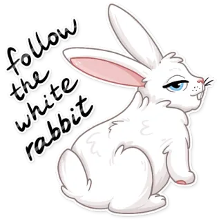 👈 follow the white rabbit กระต่าย, กระต่ายขาว, ติดตาม, สัตว์, การ์ตูน telegram sticker