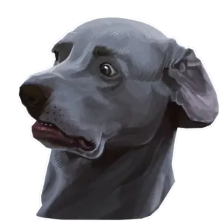 🐶 chó, thú cưng, động vật, chân dung, xám, dễ thương, đầu telegram sticker