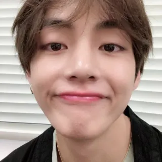 🐺 V persona, uomo, kpop, cantante, BTS, celebrità telegram sticker