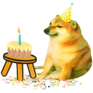 🎂 Doge cane, doge, compleanno, festa, meme, torta, cheems telegram sticker