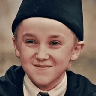 🐾 Draco Malfoy Harry Potter 드레이코 말포이, 해리 포터, 캐릭터, 마법사, 슬리데린, 톰 펠튼, 판타지 telegram sticker