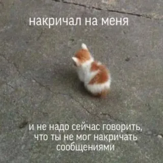 🥺 накричал на меня
и не надо сейчас говорить,
что ты не мог накричать
сообщениями kucing, sedih, kesal, anak kucing, meme, menangis telegram sticker