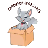 🙈 gato, caixa, desenho animado, animal, fofo whatsapp sticker