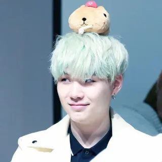 🍃 Suga Suga, BTS, K-Pop, Idol, Plüschtier telegram sticker