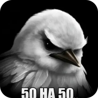 🫥 50 НА 50 bird, angry, serious, meme, animal, sketch, black and white telegram sticker