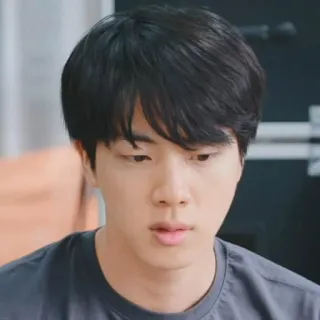 🐹 Jin kpop, sänger, männlich, asiatisch, porträt, person telegram sticker
