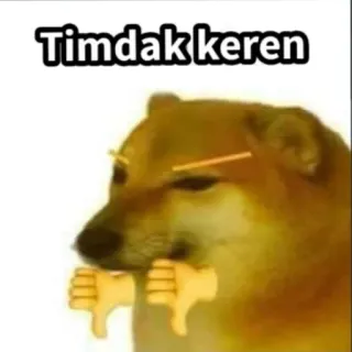 👎 Timdak keren chien, mème, pouce baissé whatsapp sticker
