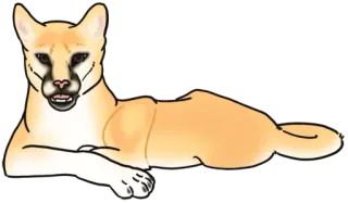 Lithy telegram stickers