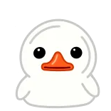 💪 canard, dessin animé, mignon, animal, oiseau telegram sticker