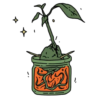 🥑 abacate, planta, pote, sementes, cultivo, botânica, planta de interior telegram sticker