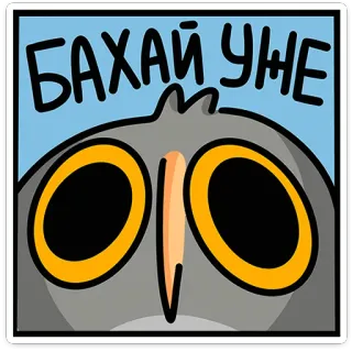 🦉 БАХАЙ УЖЕ cú mèo, hoạt hình, động vật, chim, meme, hài hước telegram sticker