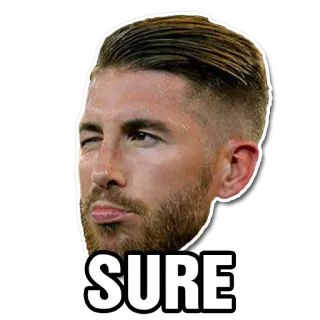 😉 SURE уверен, лицо, мужчина, согласие telegram sticker