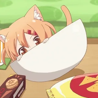 😆 アニメ, 猫, 食べ物, ボウル, スナック whatsapp sticker