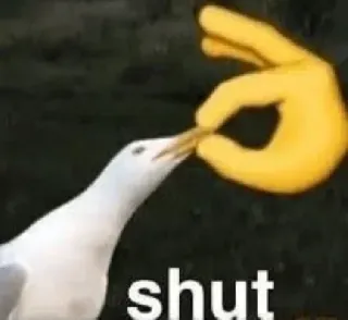 🤐 shut mewa, emoji, mem, ptak telegram sticker