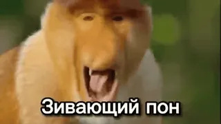 🦧 Зивающий пон monyet, bekantan, menguap, hewan, meme telegram sticker
