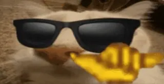 😎 Katze, Sonnenbrille, Beleidigung, Meme telegram sticker