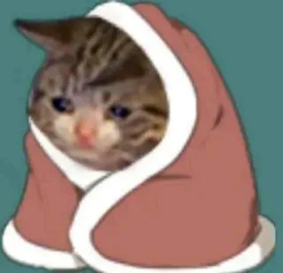 😔 cat, meme, sad, cute, animal, pet telegram sticker