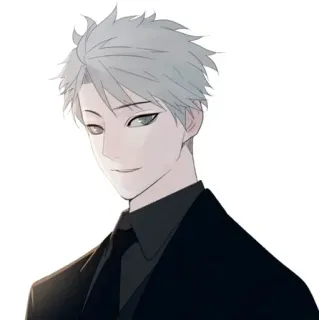 🕸 Anime, Homme, Personnage, Portrait, Masculin, Cheveux Gris whatsapp sticker