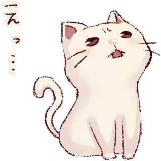 😮 えっ cat, cute, animal, japanese, sticker telegram sticker