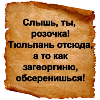 🌹 Слышь, ты,
розочка!
Тюльпань отсюда,
а то как
загеоргиню,
обсеренишься! telegram sticker