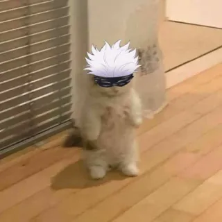 🔰 Satoru Gojo Jujutsu Kaisen chat, Gojo, Jujutsu Kaisen, animé, drôle, autocollant telegram sticker