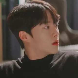 🦊 persona, hombre, retrato, coreano, actor telegram sticker