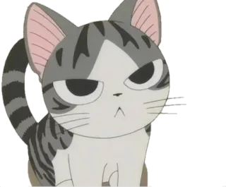 💘 cat, anime, grey, cute, angry telegram sticker