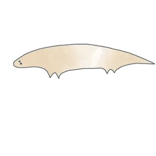 🐊 animal, lindo, criatura, pálido, ilustración, caprichoso telegram sticker