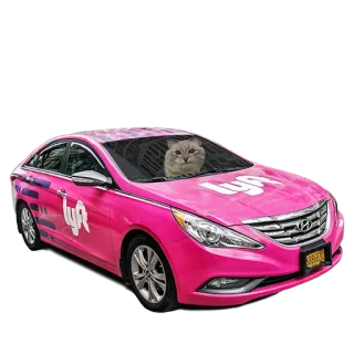 🚗 lyft cat, car, transportation, lyft, humor, animal, pink telegram sticker