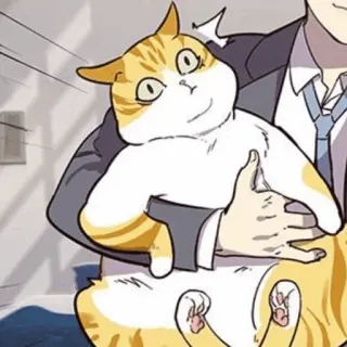 🐈 mèo, hoạt hình, hài hước, động vật, dễ thương telegram sticker