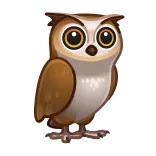 🦉