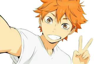 ✌ Hinata Shoyo Haikyuu Anime, Haikyuu, Hinata Shoyo, Shonen, Anime de sport, Volleyball, Manga, Fanart telegram sticker