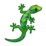 🦎