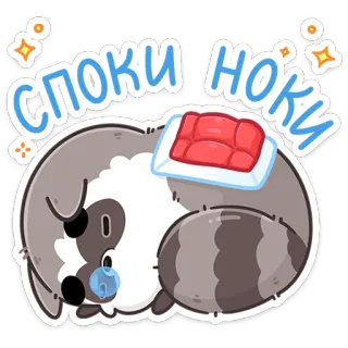 😴 споки ноки szop, słodki, sen, zwierzę, kreskówka, mięso whatsapp sticker