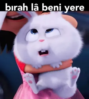 😑 birah lâ beni yere 토끼, 귀여운, 스티커, 웃긴, 동물 whatsapp sticker