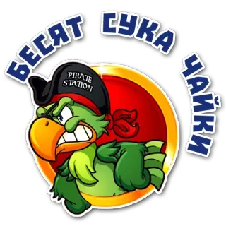 😋 ВЕСЯТ СУКА ЧАЙКИ pirate, parrot, cartoon, pirate station telegram sticker