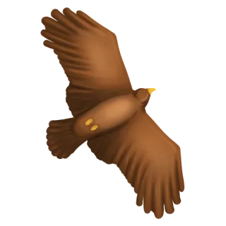 ✈ águia, pássaro, voando, marrom, animal telegram sticker