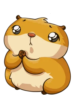 🙏 hamster, süß, tier, nagetier, betteln, flehen, illustration telegram sticker
