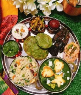🍱 food, indian cuisine, vegetarian, thali, meal, paneer telegram sticker